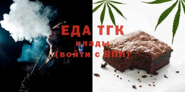 индика Алексин