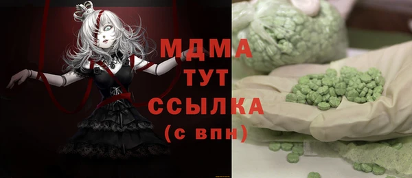 индика Алексин