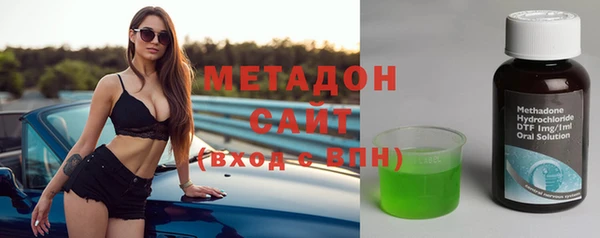 индика Алексин