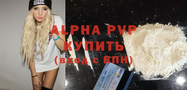 индика Алексин