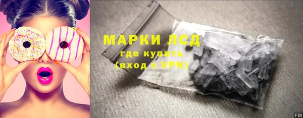 индика Алексин