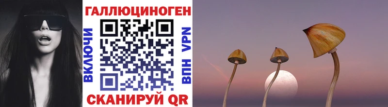 Галлюциногенные грибы MAGIC MUSHROOMS  Новодвинск 